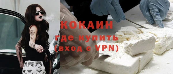 ГАЛЛЮЦИНОГЕННЫЕ ГРИБЫ Осинники