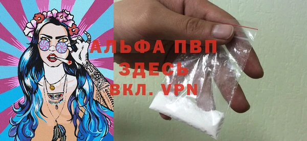 PSILOCYBIN Ветлуга